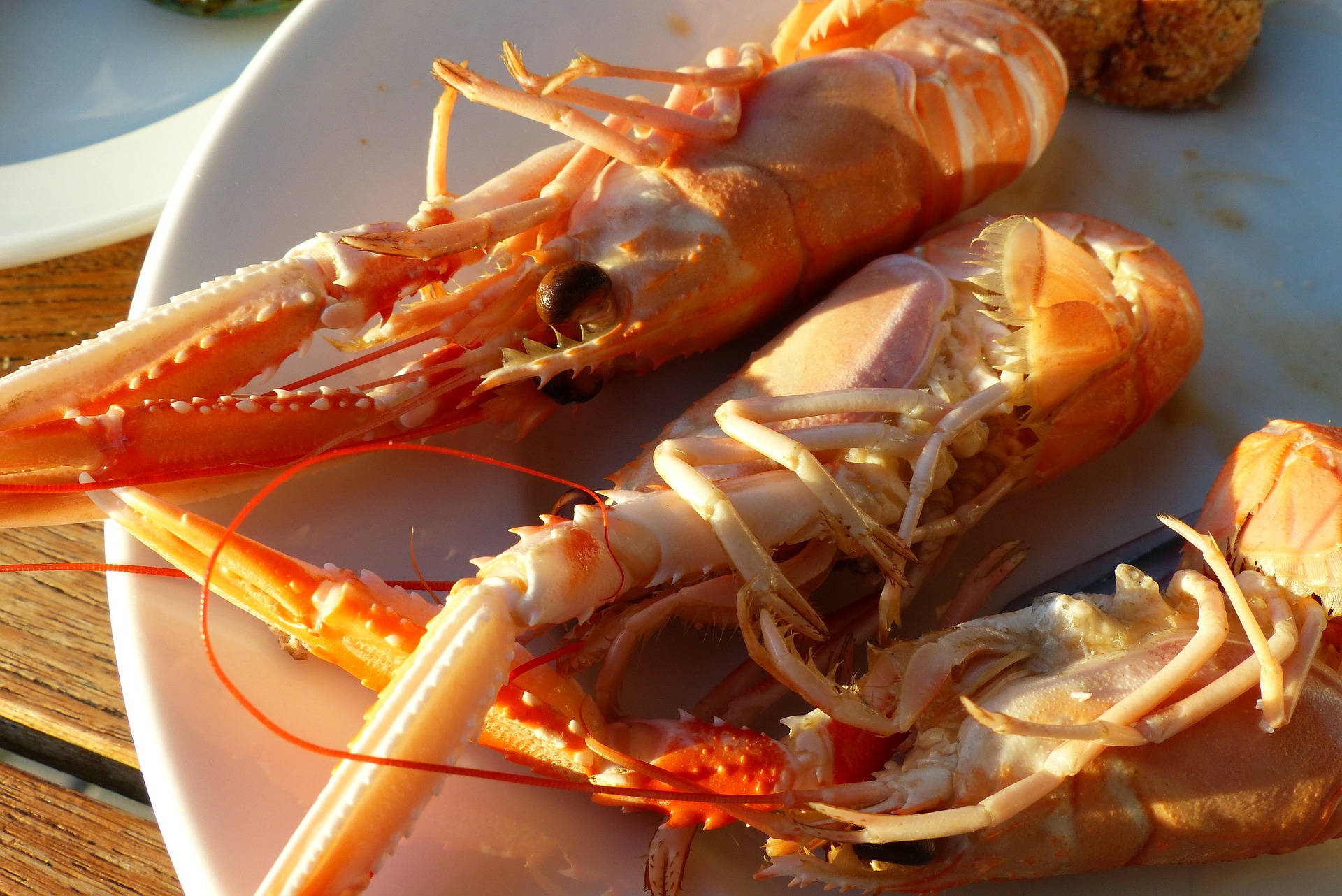 langoustines