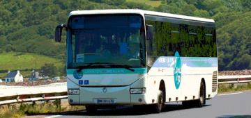 bus